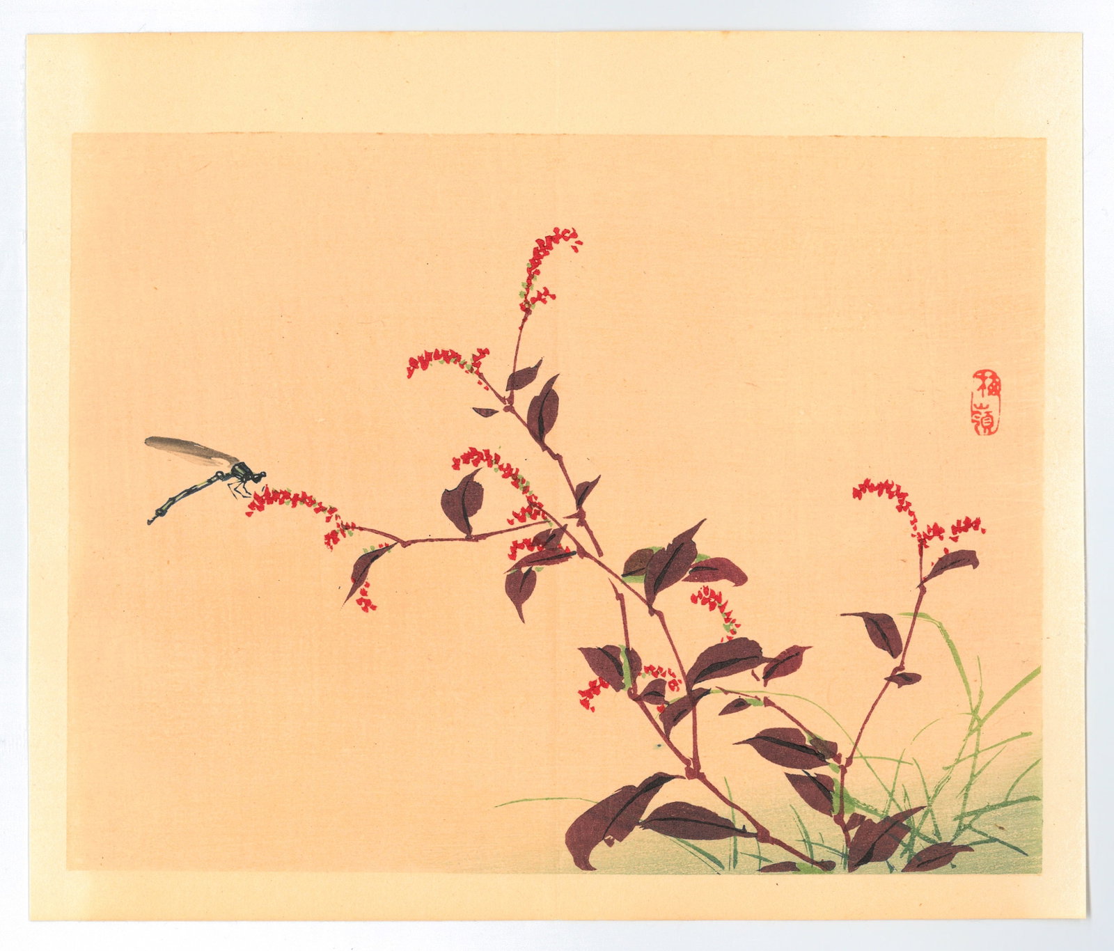 Kono Bairei : Damselfly: Artist: Kono Bairei. Title: "Damselfly" Date: Circa, Meiji 1868-1912. Medium: Woodblock Print. Size: (10x8.1/2in). Place of Origin: Japan. Publisher: Yamada Unsodo. Format: Horizontal. Paper Type: Was