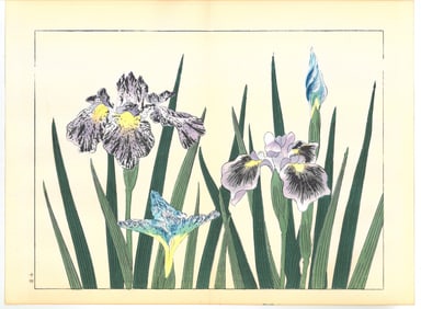 Sakai Hoitsu : Flowers of the Four Seasons
