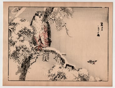 Kono Bairei : The Lone Hawk