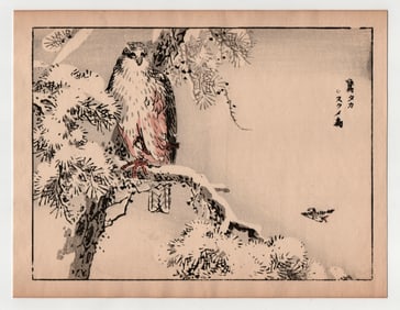Kono Bairei : The Lone Hawk