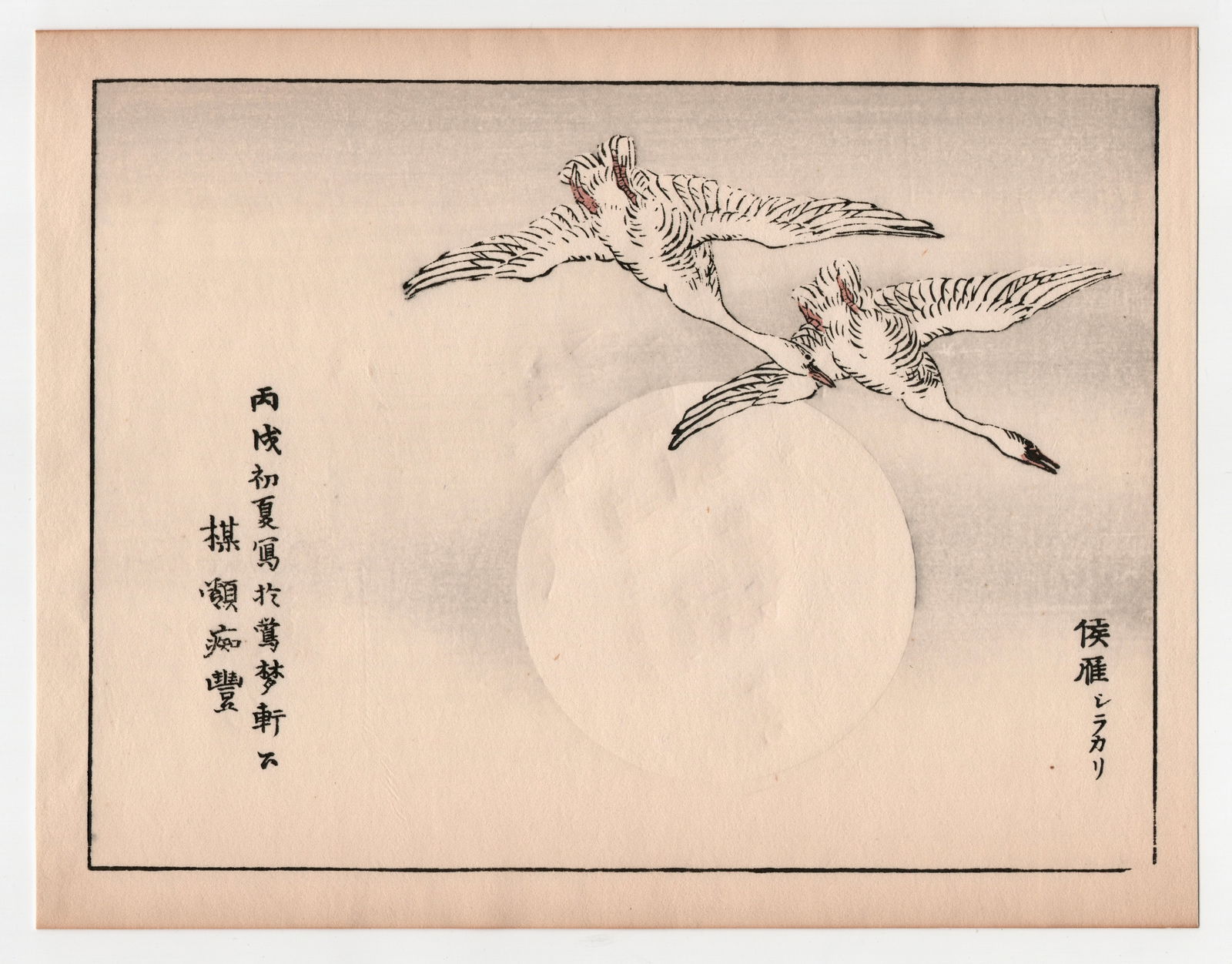 Kono Bairei : Swan: After, Kono Bairei. Title: "Swan" Medium: Woodblock. Place of Origin: Japan. Date: 1950-1970, Showa period. Size: (9.1/4x7.1/4in). Publisher: Yamada. Paper Type: Mulberry.