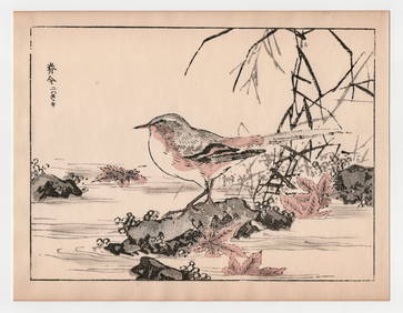 Kono Bairei : One Hundred Birds Woodblock Print (1 of 1)