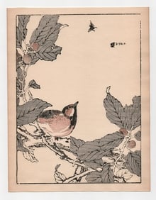 Kono Bairei : Great Tit
