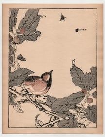 Kono Bairei : Great Tit