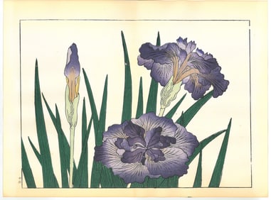 Sakai Hoitsu : Flowers of the Four Seasons