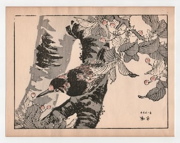 Kono Bairei : Woodpecker