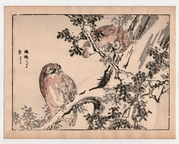 Kono Bairei : Owl