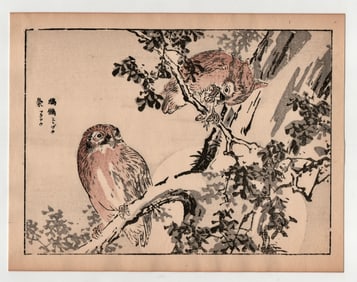 Kono Bairei : Owl