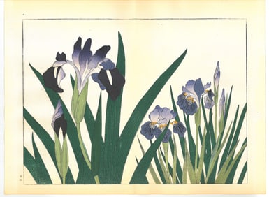 Sakai Hoitsu : Flowers of the Four Seasons