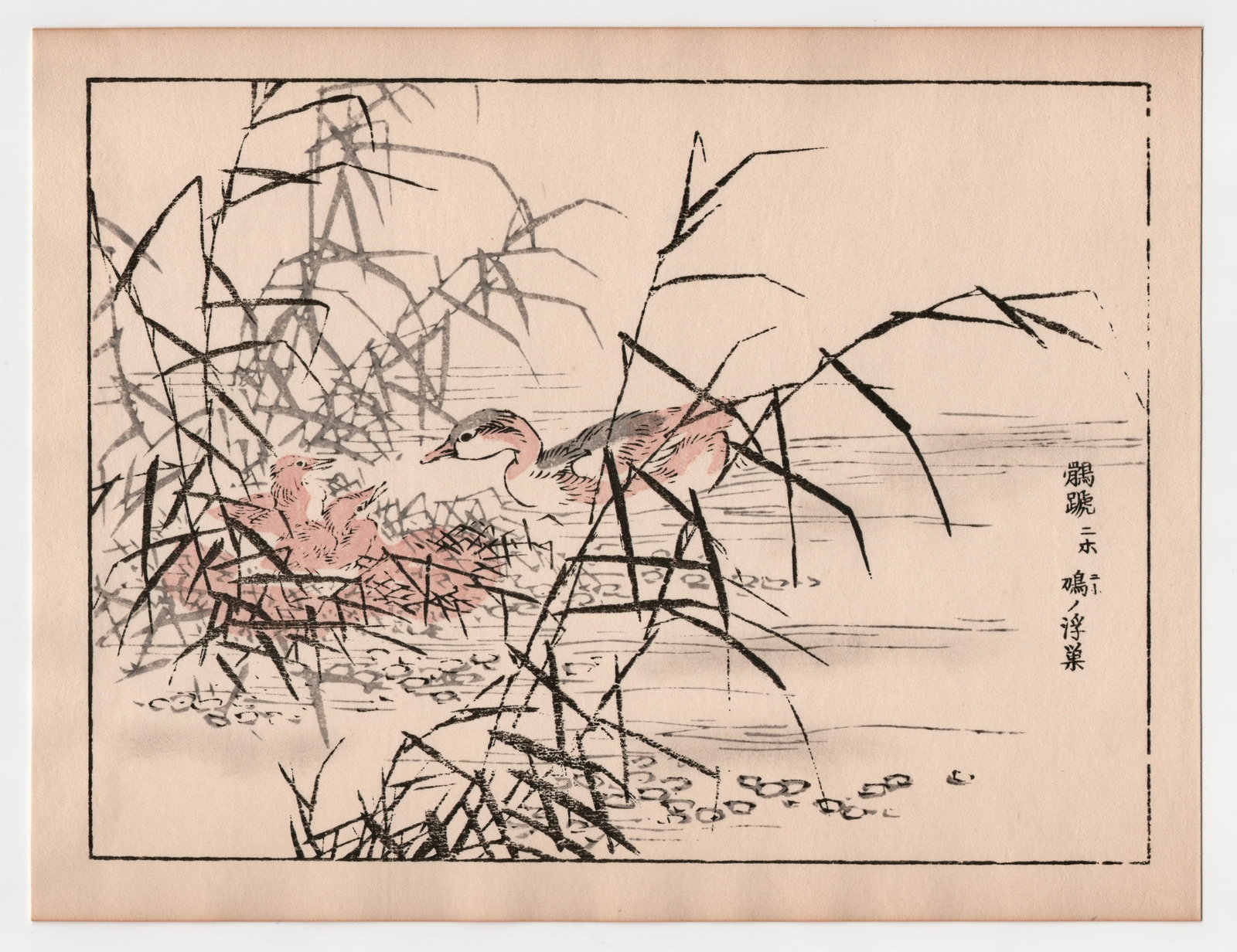 Kono Bairei : The Floating Nest of the Dove: After, Kono Bairei. Title: "The Floating Nest of the Dove" Medium: Woodblock. Place of Origin: Japan. Date: 1950-1970, Showa period. Size: (9.1/4x7.1/4in). Publisher: Yamada. Paper Type: Mulberry. Ser