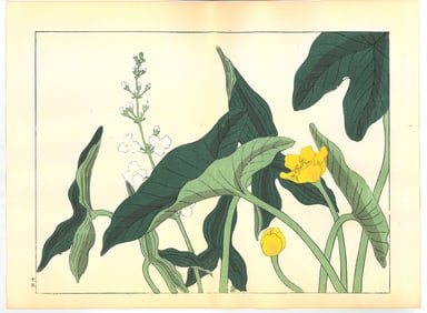 Sakai Hoitsu : Flowers of the Four Seasons