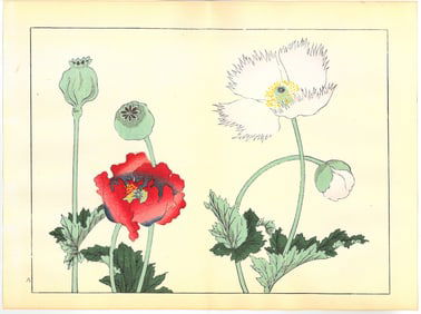 Sakai Hoitsu : Flowers of the Four Seasons