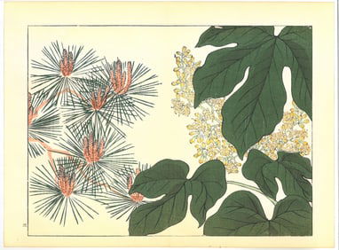 Sakai Hoitsu : Flowers of the Four Seasons