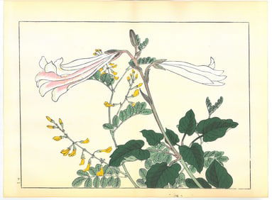 Sakai Hoitsu : Flowers of the Four Seasons