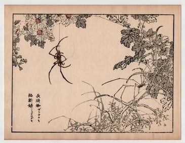 Kono Bairei : Nagasaki Spider Woodblock Print
