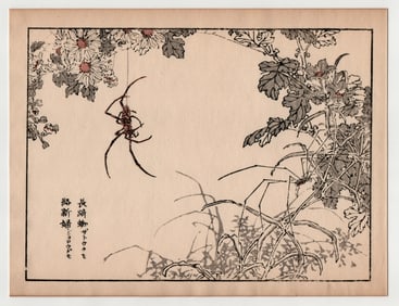 Kono Bairei : Nagasaki Spider Woodblock Print