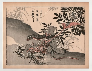 Kono Bairei : Lizard