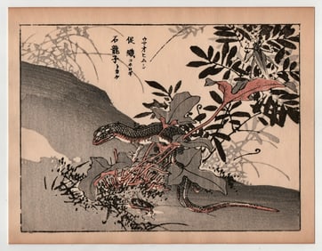 Kono Bairei : Lizard
