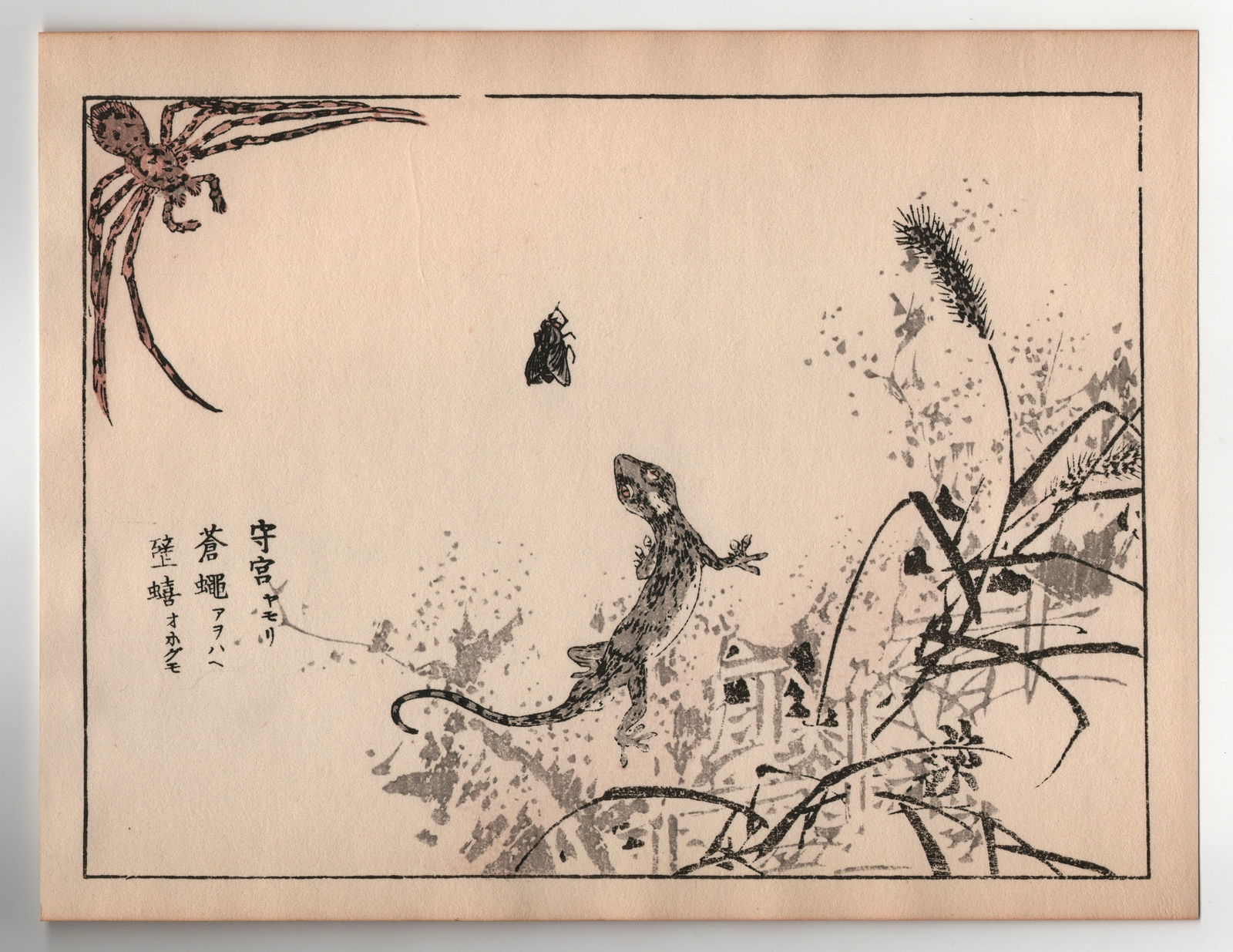 Kono Bairei : Gecko: After, Kono Bairei. Title: "Gecko" Medium: Woodblock. Place of Origin: Japan. Date: 1950-1970, Showa period. Size: (9.1/4x7.1/4in). Publisher: Yamada. Paper Type: Mulberry.