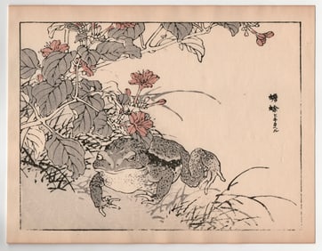 Kono Bairei : Toad