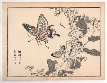 Kono Bairei : Butterfly
