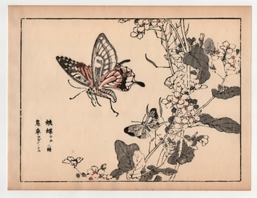 Kono Bairei : Butterfly