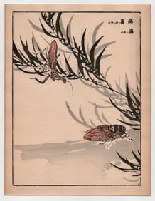 Kono Bairei : Mantis