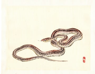 Kono Bairei : Coiled Snake Woodblock