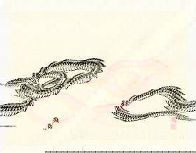 Kono Bairei : Coiled Snake Woodblock: Artist: Kono Bairei (1884-1895). Title: "Coiled Snake" Medium: Woodblock reprint on washi traditional Japanese handmade paper. Date: (1982, Showa). Publisher: Unsodo Publishing Co. Size: (10.1/2x9.1/2