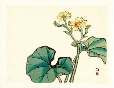 Kono Bairei : Chrysanthemum with Curled Leaves Woodblock