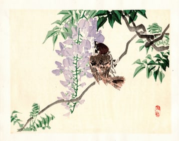 Kono Bairei : Sparrow and Wisteria Woodblock