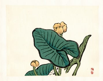 Kono Bairei : Yellow Blossoms with Veined Leaves Woodblock