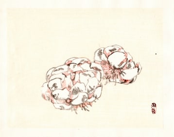 Kono Bairei : Twin Blossoms Woodblock