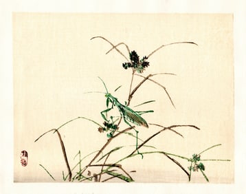 Kono Bairei : Praying Mantis on Autumn Grass Woodblock