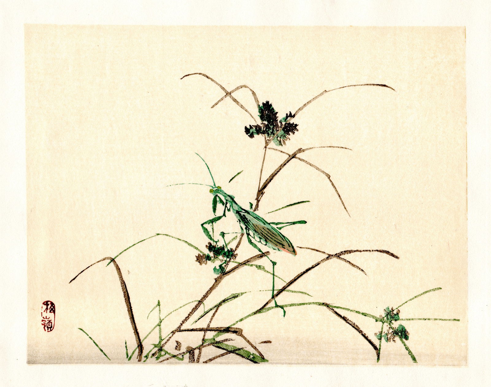 Kono Bairei : Praying Mantis on Autumn Grass Woodblock (1 of 1)