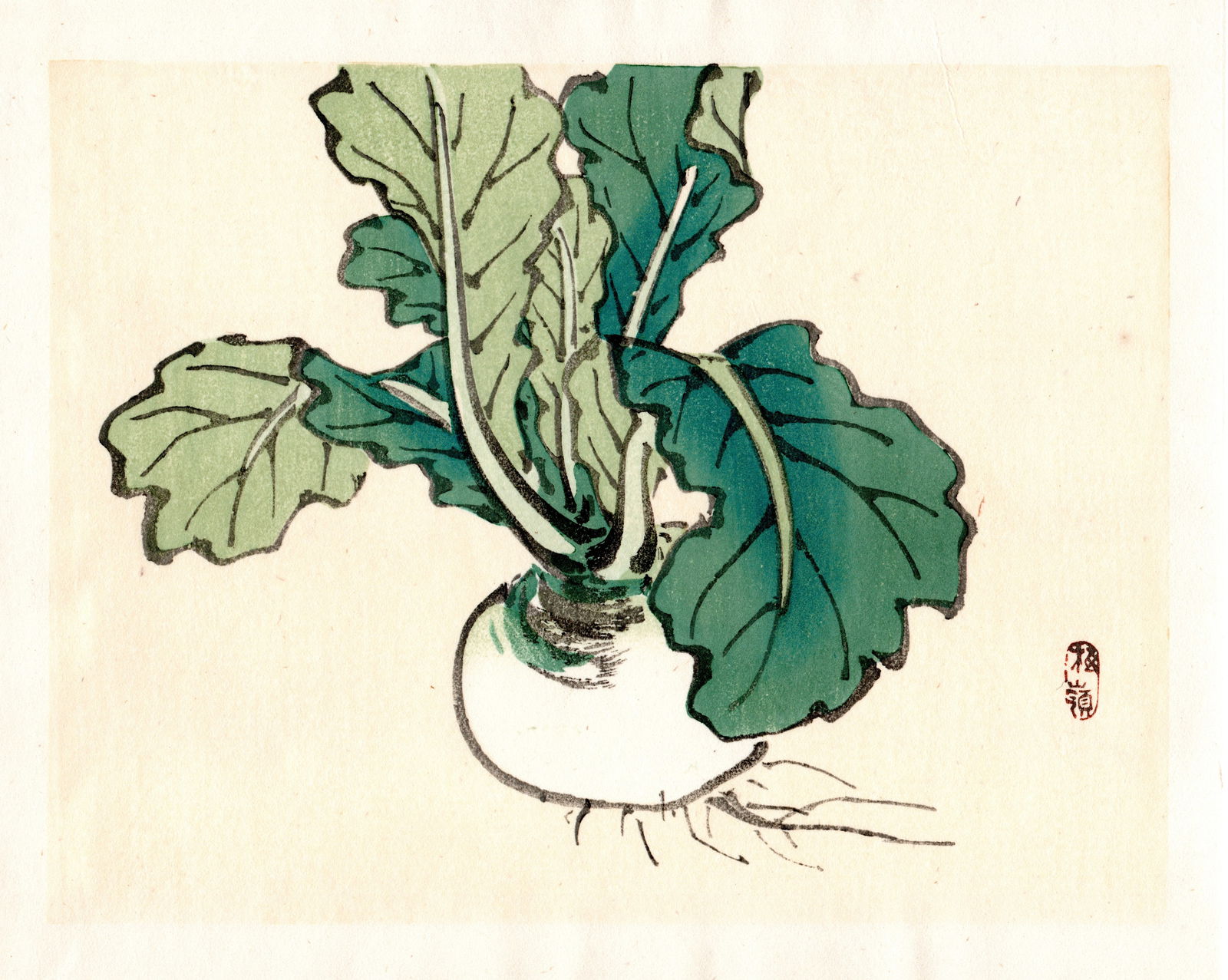 Kono Bairei : Turnip with Broad Leaves Woodblock: Artist: Kono Bairei (1884-1895). Title: "Rock Formation with Vegetation. Format: Horizontal, unframed never mounted book plate illustration from the multi-volume Bairei Gakan series. Medium: Woodblock