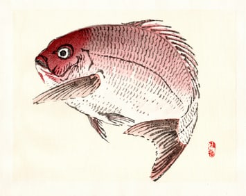 Kono Bairei : Red Fish in Profile Woodblock