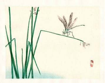 Kono Bairei : Dragonfly on Grass Blade Woodblock