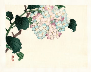 Kono Bairei : Hydrangea in Bloom Woodblock