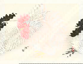 Kono Bairei : White Rooster with Crimson Crown Woodblock: Artist: Kono Bairei (1884-1895). Title: "White Rooster with Crimson Crown. Format: Horizontal, unframed never mounted book plate illustration from the multi-volume Bairei Gakan series. Medium: Woodblo