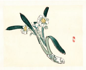 Kono Bairei : Daffodils Gathered Woodblock