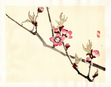 Kono Bairei : Plum Blossoms in Early Spring Woodblock