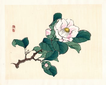 Kono Bairei : Camellia in Bloom Woodblock
