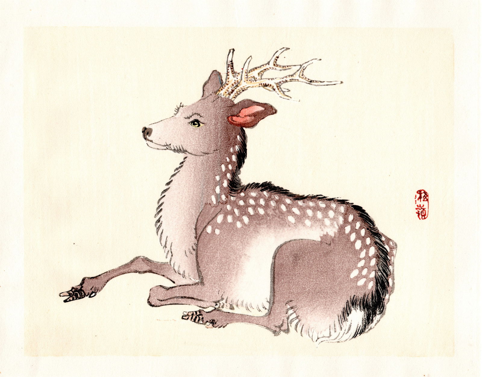 Kono Bairei : Seated Deer with Branching Antlers Woodblock: Artist: Kono Bairei (1884-1895). Title: "Seated Deer with Branching Antlers . Format: Horizontal, unframed never mounted book plate illustration from the multi-volume Bairei Gakan series. Medium: Wood