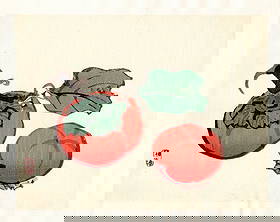 Kono Bairei : Three Persimmons Woodblock: Artist: Kono Bairei (1884-1895). Title: "Rock Formation with Vegetation. Format: Horizontal, unframed never mounted book plate illustration from the multi-volume Bairei Gakan series. Medium: Woodblock