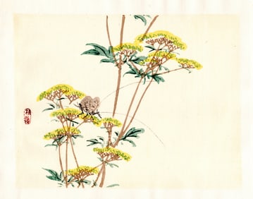 Kono Bairei : Yellow Wildflowers with Moth Woodblock