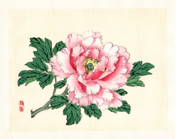 Kono Bairei : Blooming Peony Woodblock