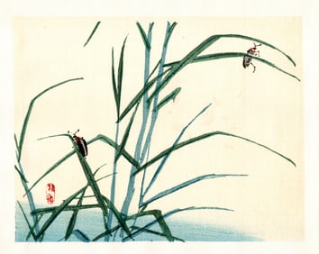 Kono Bairei : Beetles in Tall Grass Woodblock