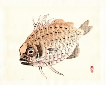 Kono Bairei : Fish in Flow Woodblock