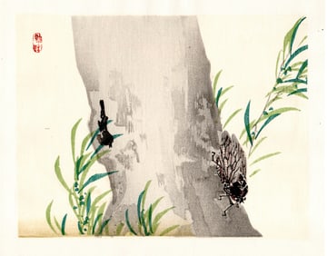 Kono Bairei : Cicada on Tree Trunk Woodblock